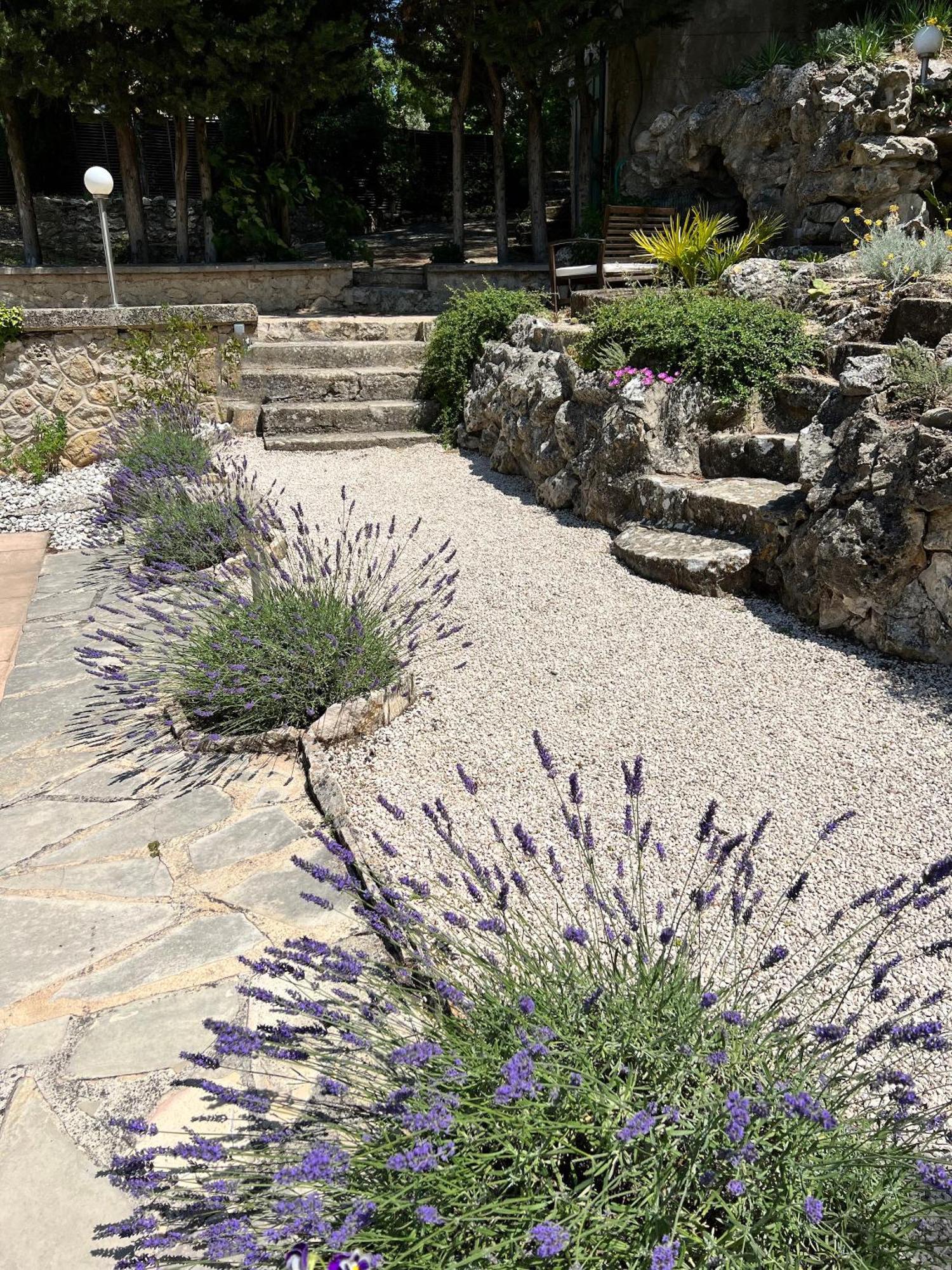 Villa Suzanne - Lambesc Centre Dış mekan fotoğraf