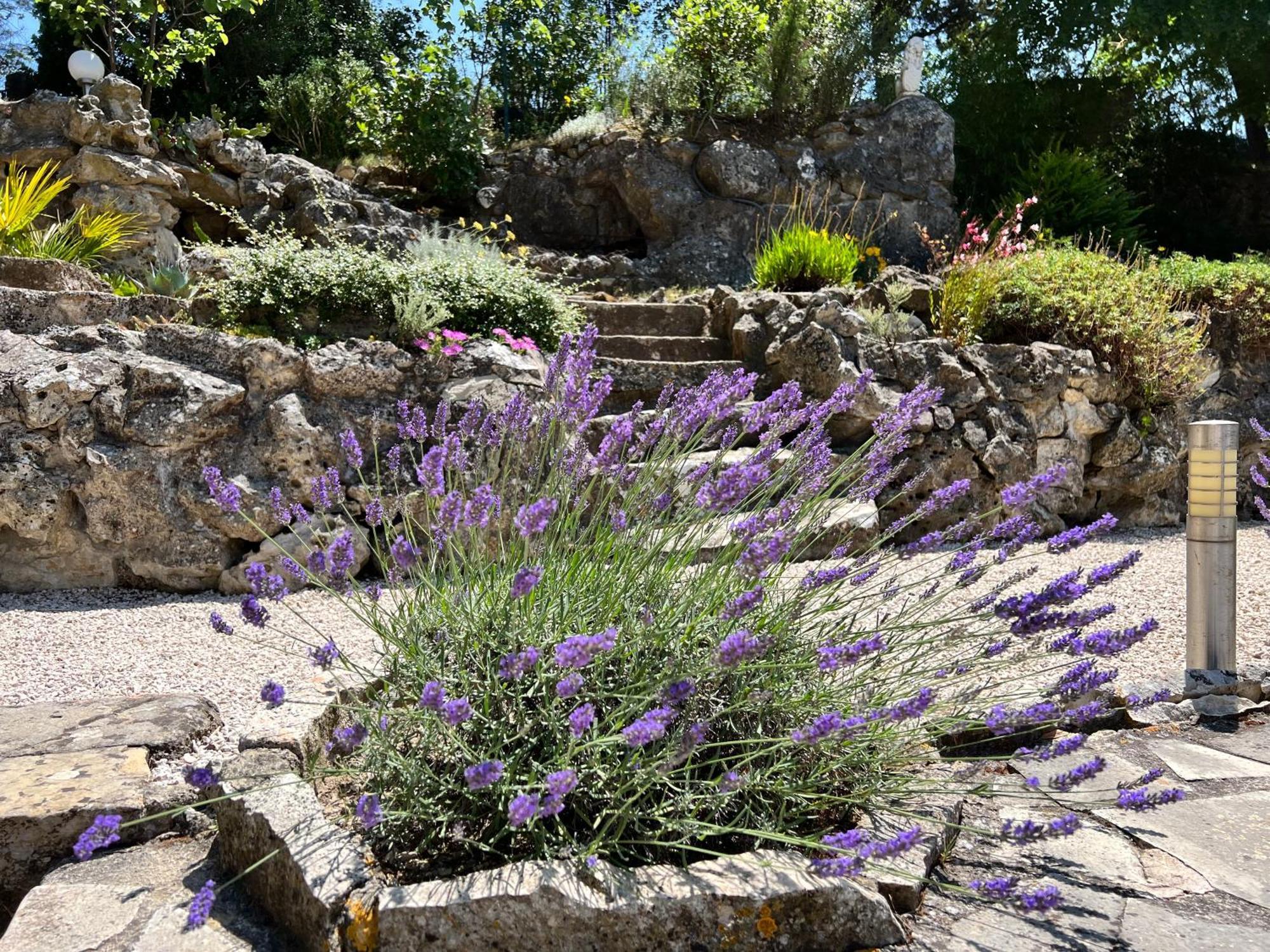 Villa Suzanne - Lambesc Centre Dış mekan fotoğraf